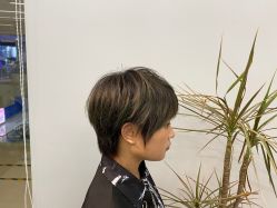 -藤野造型