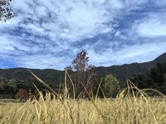 -塔川景区