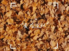 -朝阳公园游乐园