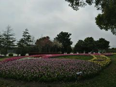 -上海鲜花港