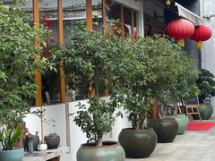 -静颐茶馆·素食(龙华店)