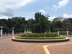 -九龙公园