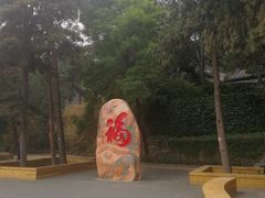 -北京鹫峰国家森林公园