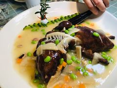 双味八宝鸽-同福社