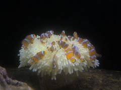 -瑞虹新天地月亮湾