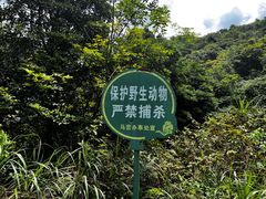 -马峦山郊野公园