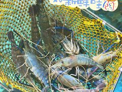 -虎门不夜天海鲜市场