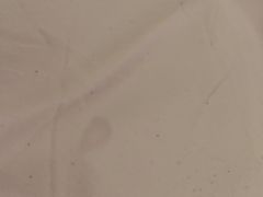 -金水鹤温泉国际酒店