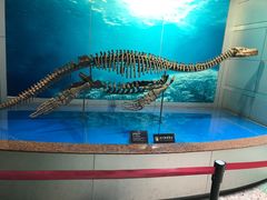 -自贡恐龙博物馆