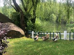 -天目湖涵田半山温泉