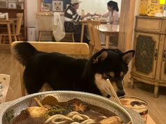 -柴の食堂·日式家庭料理·熊之肆(大学路店)