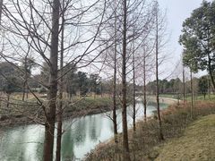 -眉山湿地公园(东坡区)