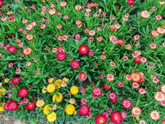 -人民公园(罗湖区)