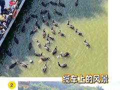 -广州长隆野生动物世界