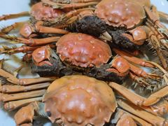-老字号蛇口德记烧腊饭店·海鲜加工
