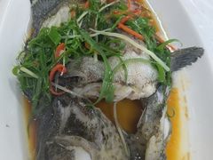 -众味海鲜大排档·活海鲜·潮汕味(南澳店)