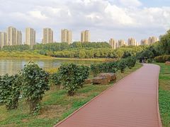 -丁香湖公园