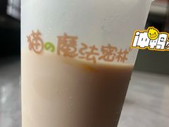 -猫的魔法密林(衣裳街店)