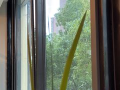 -鹿港小镇(黄金店)