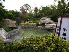 -杭州第一世界大酒店·云曼温泉