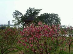 -东莞植物园