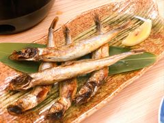 -彩葉·樱花屋日本料理(动物园店)