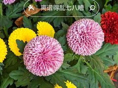 -广州文化公园