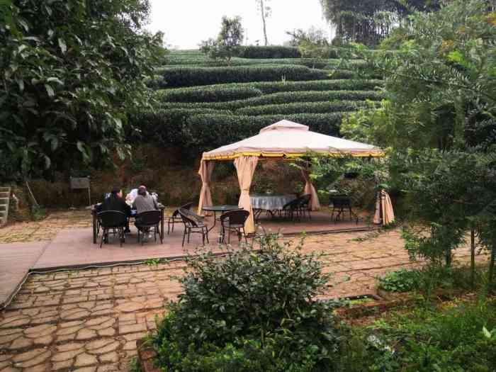 清舍餐厅-"这家店在大清谷里面,是类似农家乐,但菜品.