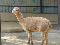 -杭州野生动物世界