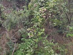 -金堂县云顶石城风景区