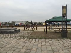 -松声马术俱乐部