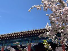 -恭王府博物馆