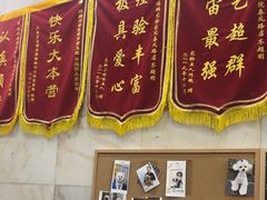 -瑞鹏宠物医院华南总院·夜诊·心脏科·骨科
