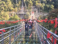 -九龙江国家森林公园