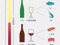 葡萄酒知识-Ponte 意大利餐厅