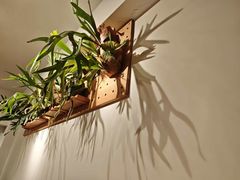 -1861意大利餐厅(来福士店)