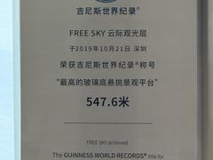 -平安金融中心云际观光层
