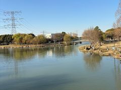 -九里河湿地公园