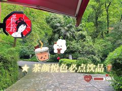 -茶颜悦色(岳麓山顶店)