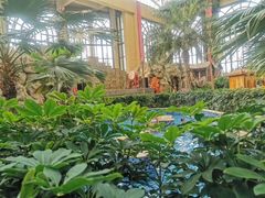 -郑州银基黄帝宫御温泉