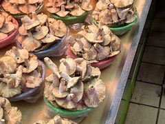 -五里多农博广场