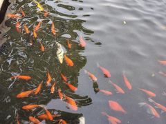 -长阳创谷