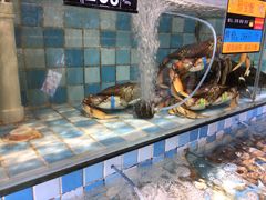 水产区-四海蒸鲜蒸汽海鲜自助(北戴河店)