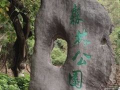 -板樟山森林公园
