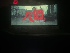 -枫花园汽车电影院(朝阳公园店)