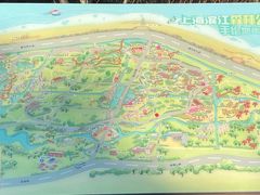 -上海滨江森林公园