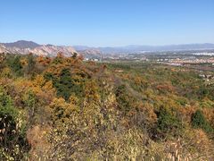 -北京鹫峰国家森林公园