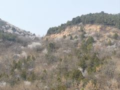 -北京西山国家森林公园