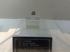 -重庆中国三峡博物馆(重庆博物馆)