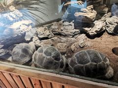 -杭州野生动物世界